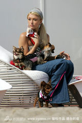 幻灯图集：帕丽斯-希尔顿与宠物狗形影不离