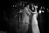 组图：宋宁齐溪婚礼纪录 光影交错恍如电影大片
